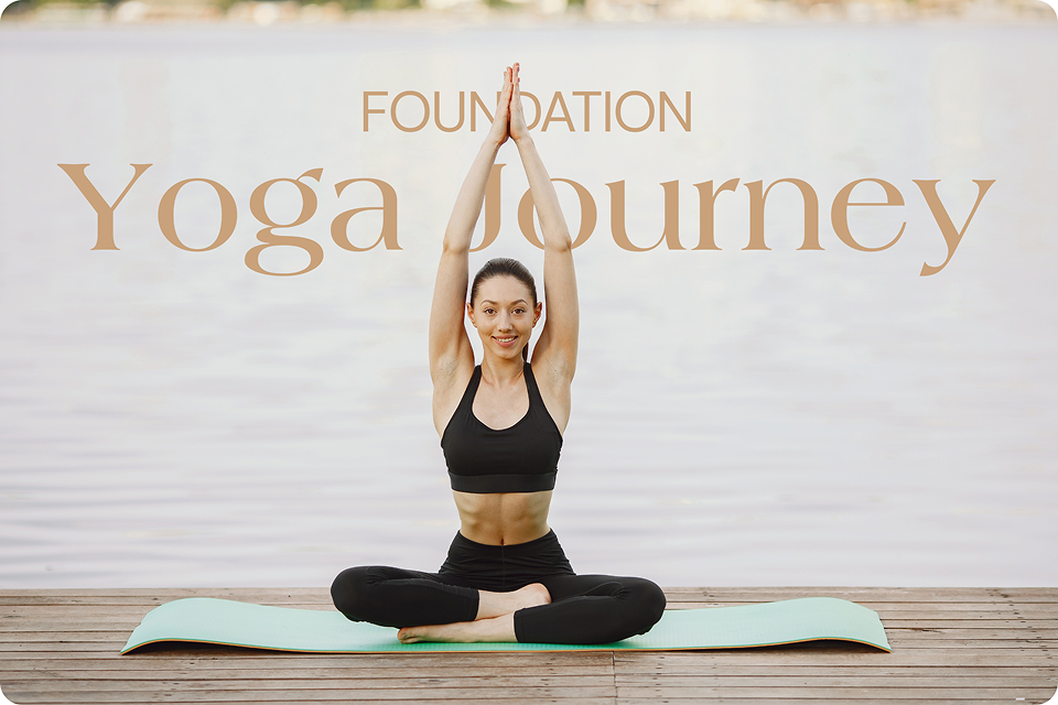 Begin Teaching Online Full Time