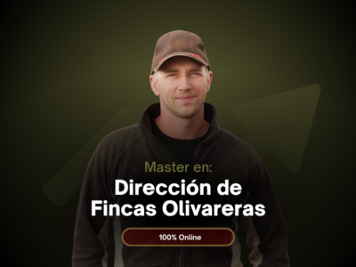 Dirección de Fincas Olivareras