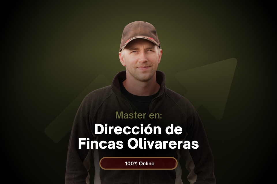 Dirección de Fincas Olivareras