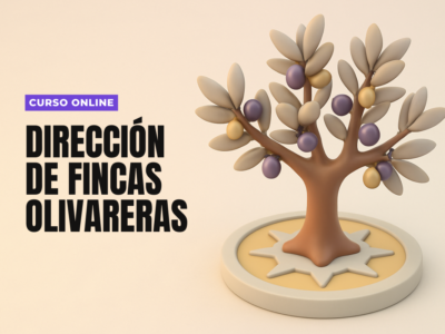 Dirección de Fincas Olivareras