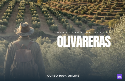 Dirección de Fincas Olivareras