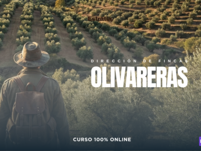 Dirección de Fincas Olivareras